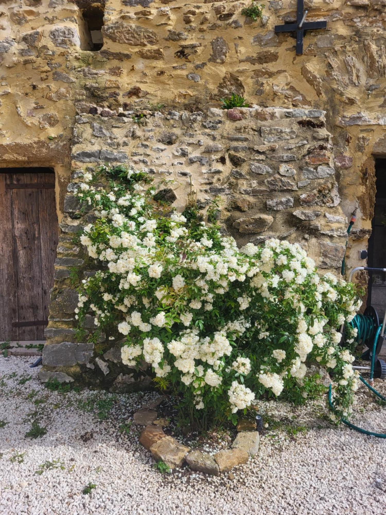 Bed and Breakfast Bastide De La Madeleine Pougnadoresse Екстер'єр фото
